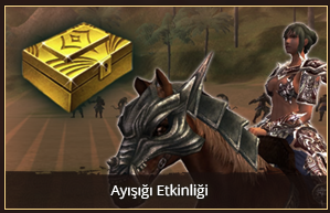 etkinlikler